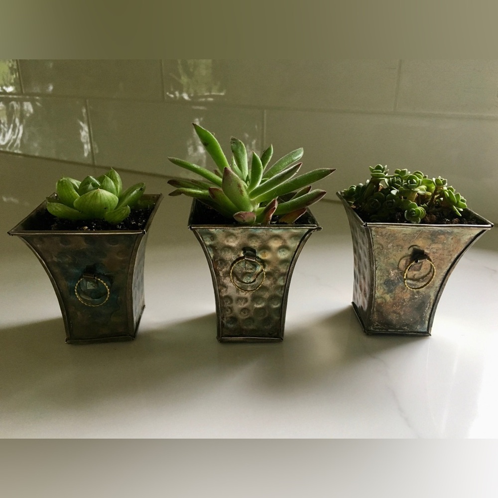 Brass Urn Planters Flowerpots Vintage Boho Small Succulent Set of 3